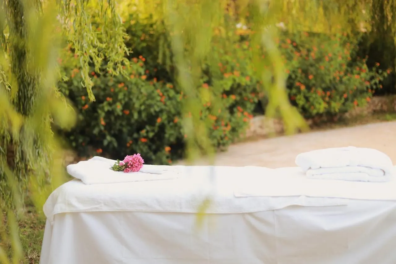 Hotel Llucatx Menorca Son Parc